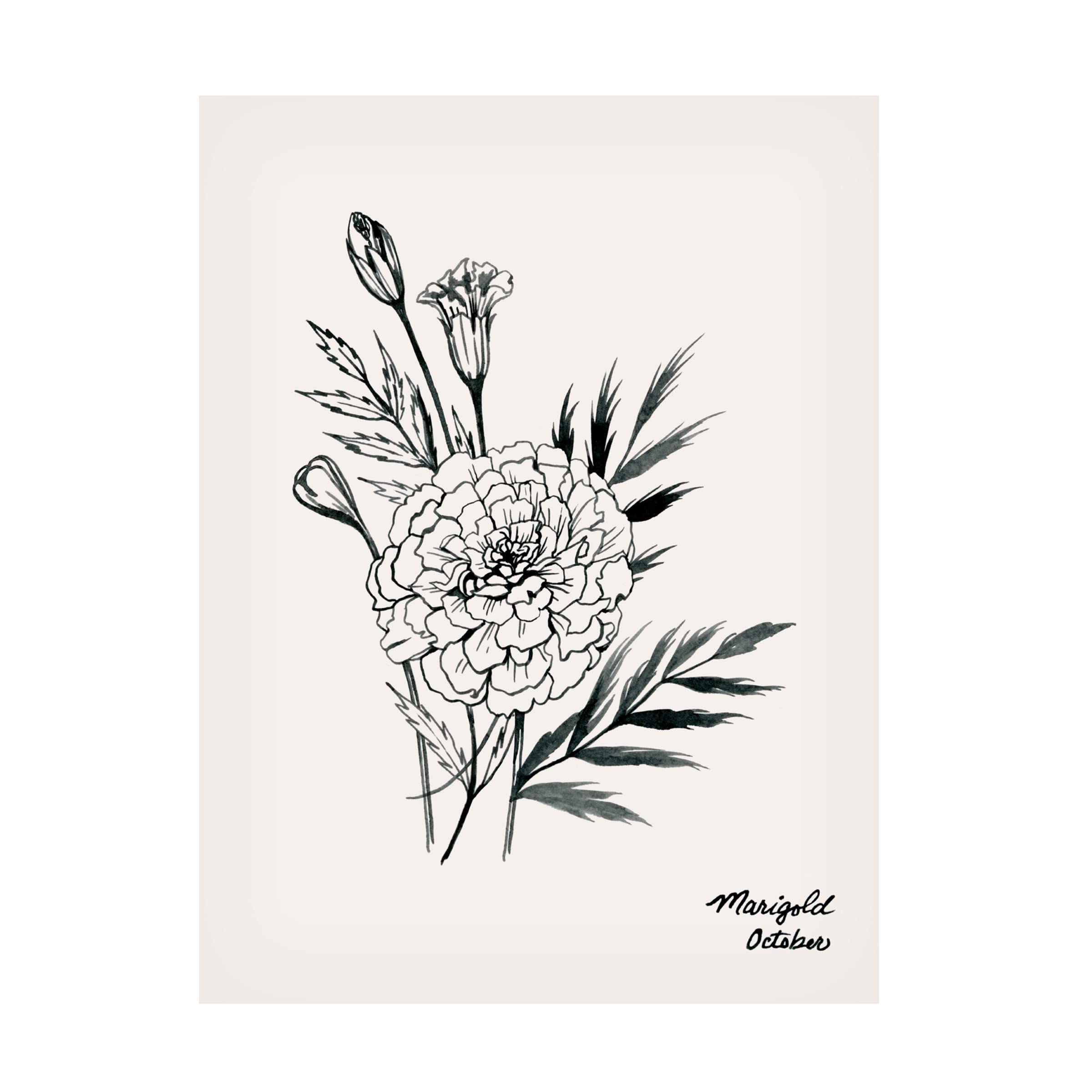 Grace Popp Annual Flowers X Canvas Art Print - Vibrant Floral Wall Decor for Living Room, Bedroom & Office - Trademark Fine Art Collection