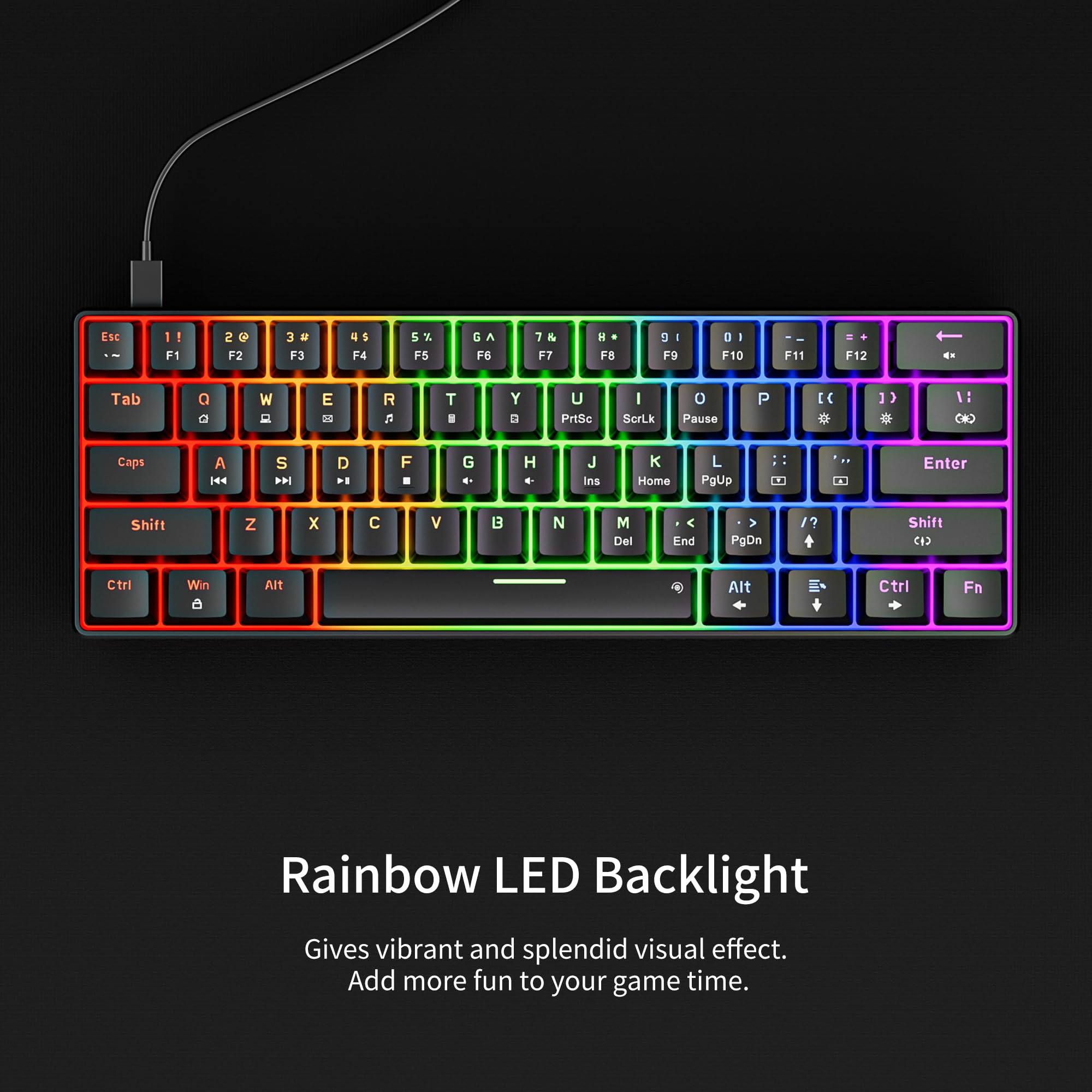 Newmen GM611 60% Mechanical Keyboard - Rainbow LED Backlit, Compact 61 Keys for Gaming & Office (Black/Blue Switch)