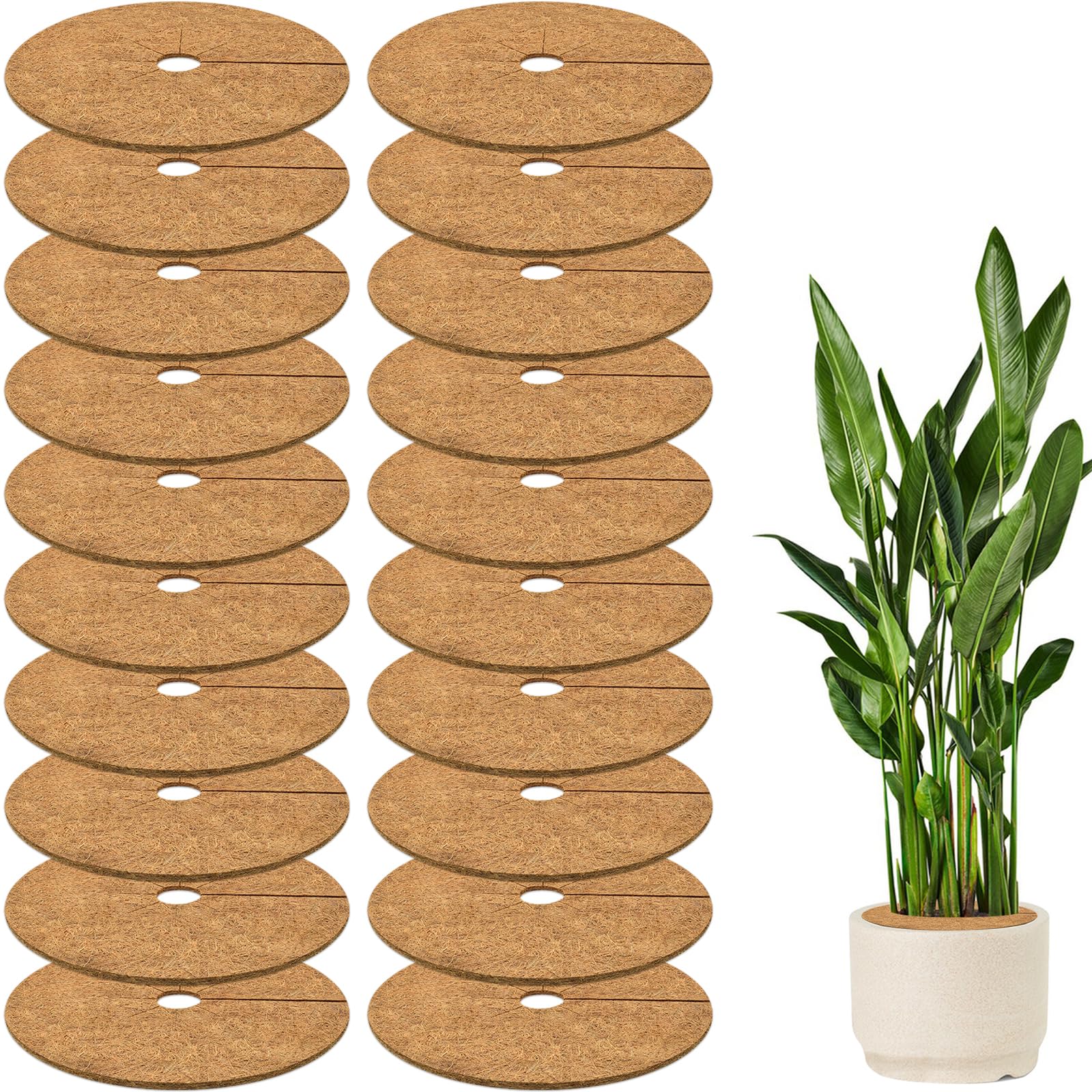 ZeeDix 20 Pack Coconut Fiber Mulch Rings - 11.8 Inch Tree Protector Mats for Indoor/Outdoor Plants, Weed Barrier, Disc Plant Cover for Flower Pots & Garden Trees | Ideal for Landscaping, Gardening & Plant Protection
