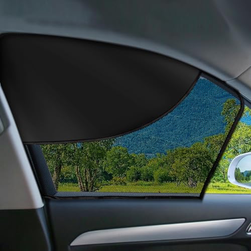 Front Window