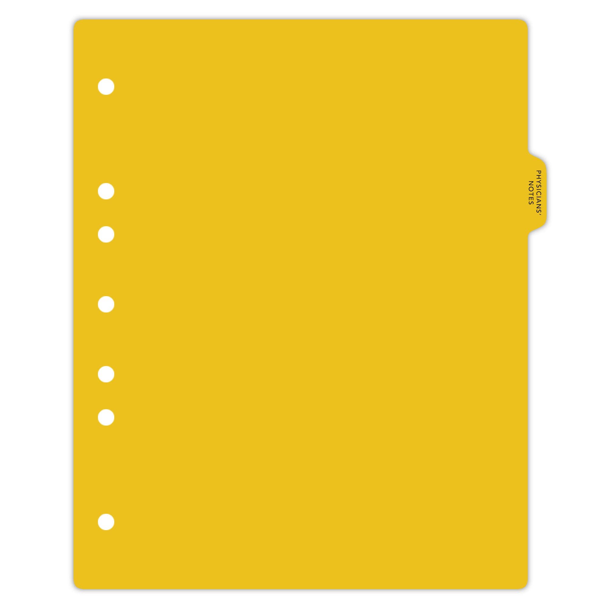 Heavy Duty Physicians' Notes Plastic Ring Binder Dividers - Side Tab 1/9 Cut, 3 Position Tabs, US Letter Size (Pack of 10) - Durable Medical Chart Organizers for 3-Ring Binders | Perfect for Doctors, Nurses & Healthcare Professionals