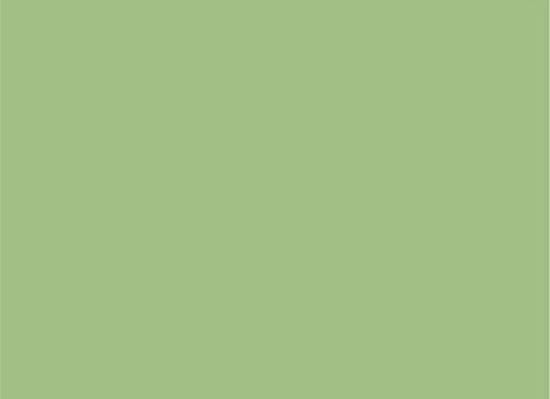 Sage Green Solid