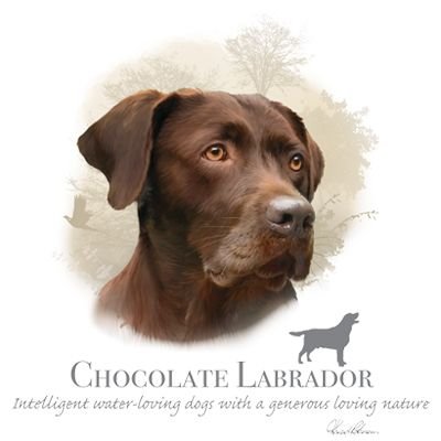 Funny Chocolate Labrador Dog Lover T-Shirt for Adults - Perfect for Pet Owners, Dog Walks & Casual Wear
