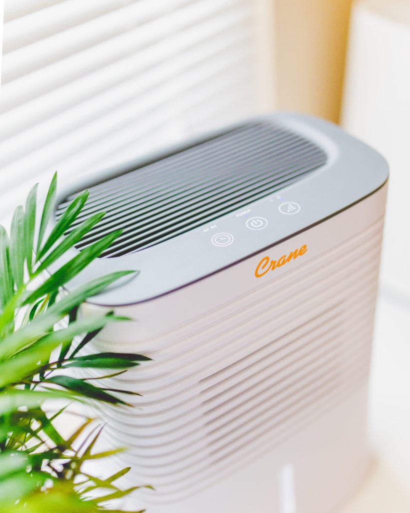 Best Crane Dehumidifier for Home - Powerful Moisture Absorber for Basement, Bedroom & Bathroom - Energy Efficient Quiet Air Dryer for Damp Spaces & Mold Prevention