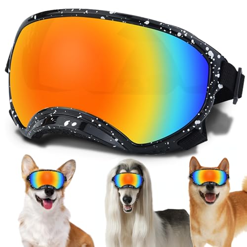 Black Frame-Whitedot-Colours Lens-S