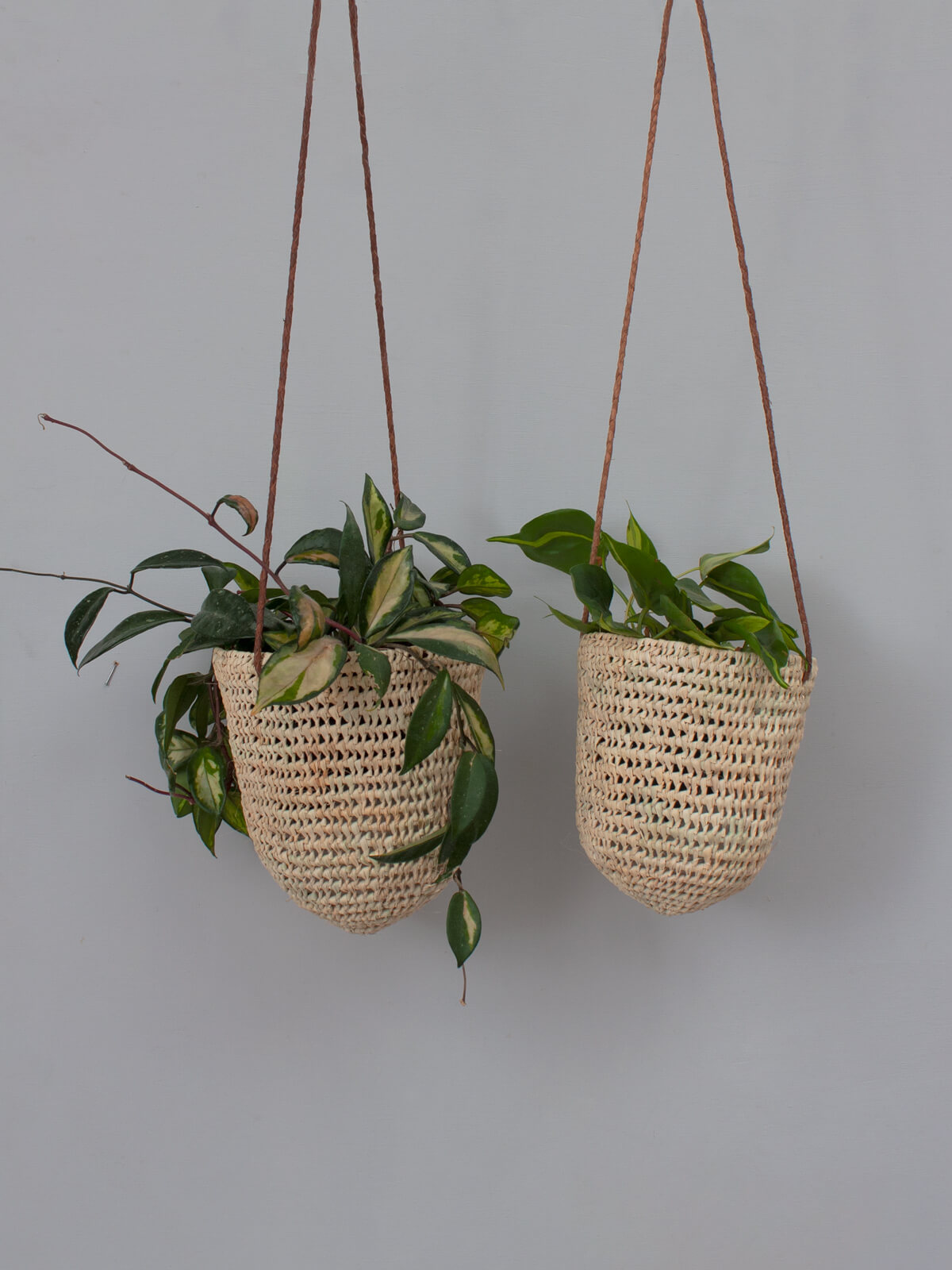 Open Weave Dome Hanging Baskets - Tan Rattan Planters for Indoor & Outdoor Decor | Perfect for Flowers, Herbs, and Succulents in Patio, Garden, or Porch