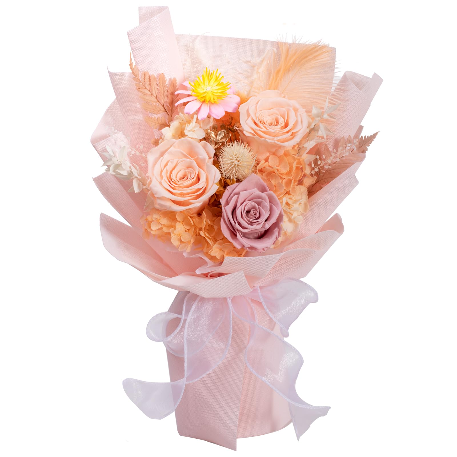 Lovenfold Preserved Flowers Bouquet - Long Lasting Champagne Roses (1-3 Years) | Birthday Gifts for Women, Mom, Grandma, Wife & Friends | Perfect for Home Decor, Wedding Centerpieces & Special Occasions