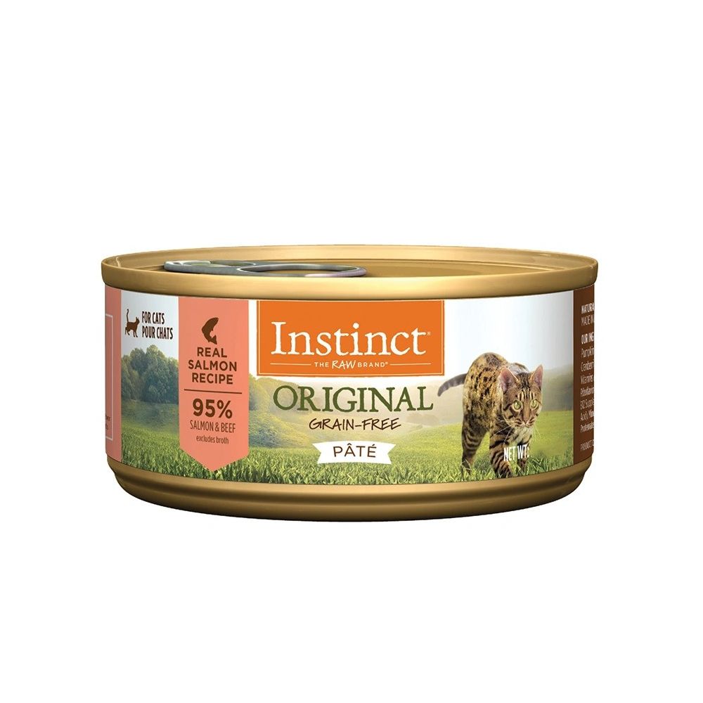 Grain-Free Salmon & Beef Wet Cat Food for All Life Stages - High Protein, Natural Ingredients for Healthy Skin & Coat - Perfect for Indoor & Outdoor Cats