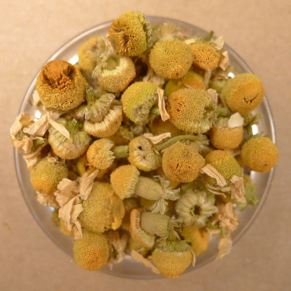 Premium Organic Chamomile Flowers (10 LB Bulk) - Relaxing Herbal Tea, Aromatherapy & DIY Skincare | Perfect for Tea Lovers, Stress Relief & Natural Remedies