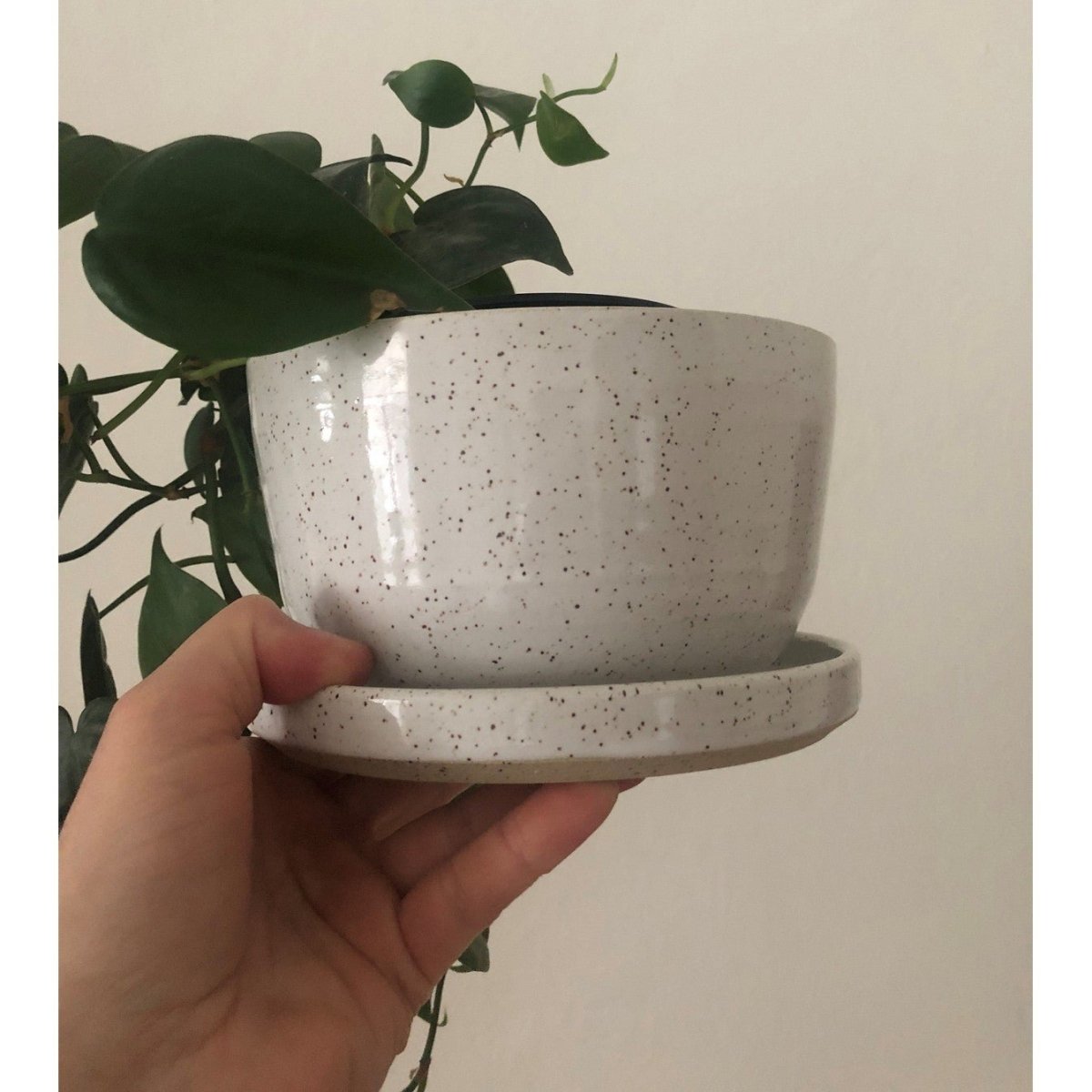 Ceramic Plant Pots with Drainage Holes - Indoor & Outdoor Flower Planters for Succulents, Herbs, and Houseplants - Perfect for Home, Garden, and Office Decor