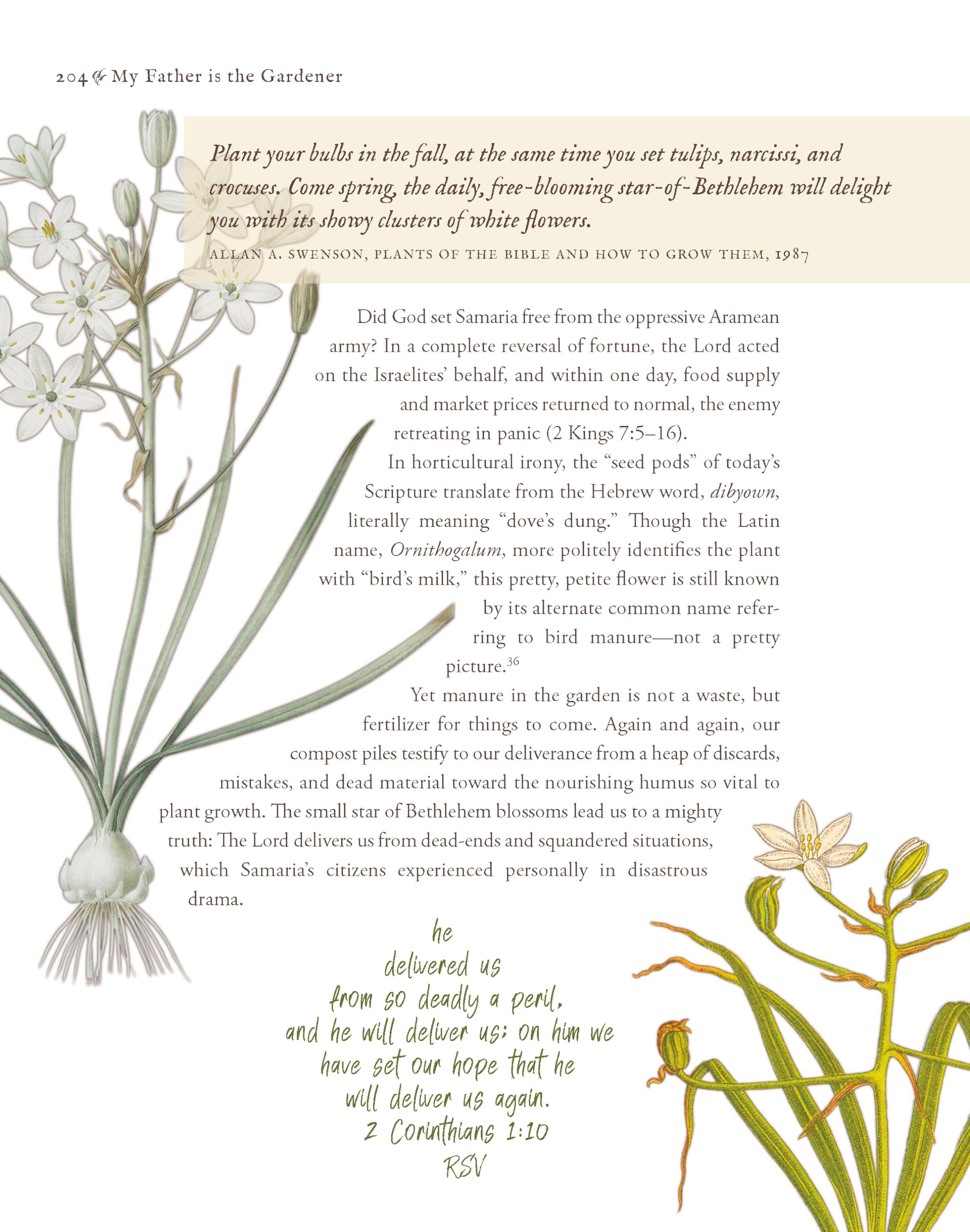My Father is the Gardener - Biblical Devotions on Botany & Gardening | Christian Gardening Book for Bible Study & Spiritual Growth
