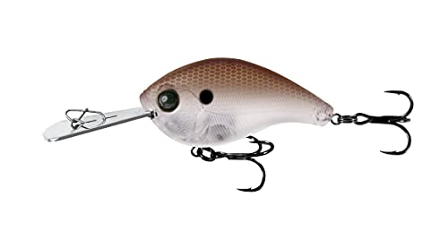 Green Gizzard Shad