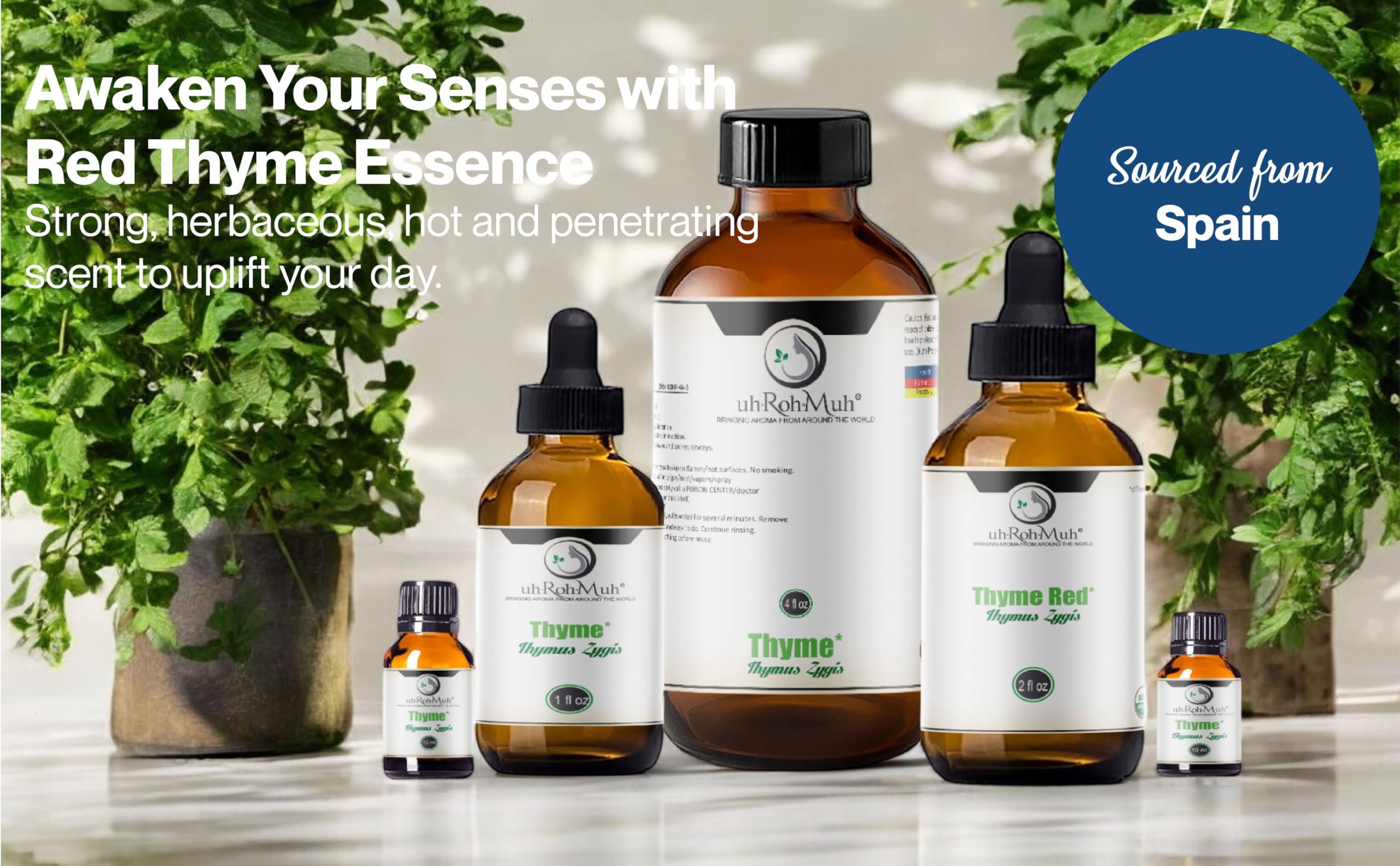 Premium Organic Thyme Red Essential Oil with High Thymol Content | USDA Certified Pure Essential Oil for Aromatherapy, Skincare & Cooking | Home Diffuser Oil | Sourced from Spain | Perfect for Relaxation, Skin Care & Culinary Recipes