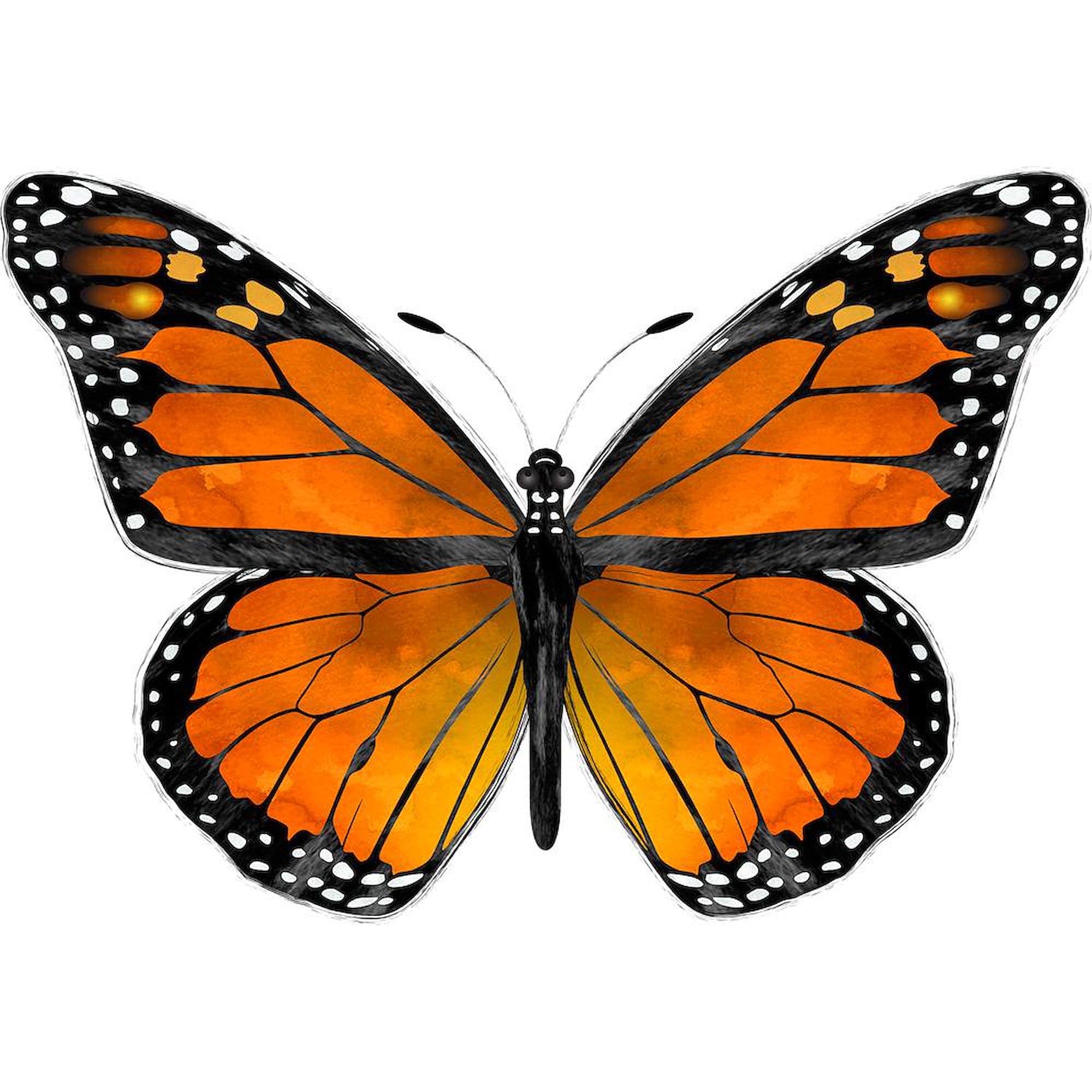 Monarch Butterfly Ceramic Coffee Mug 11 oz (325 ml) - Perfect for Tea, Hot Cocoa & Office Use - CafePress
