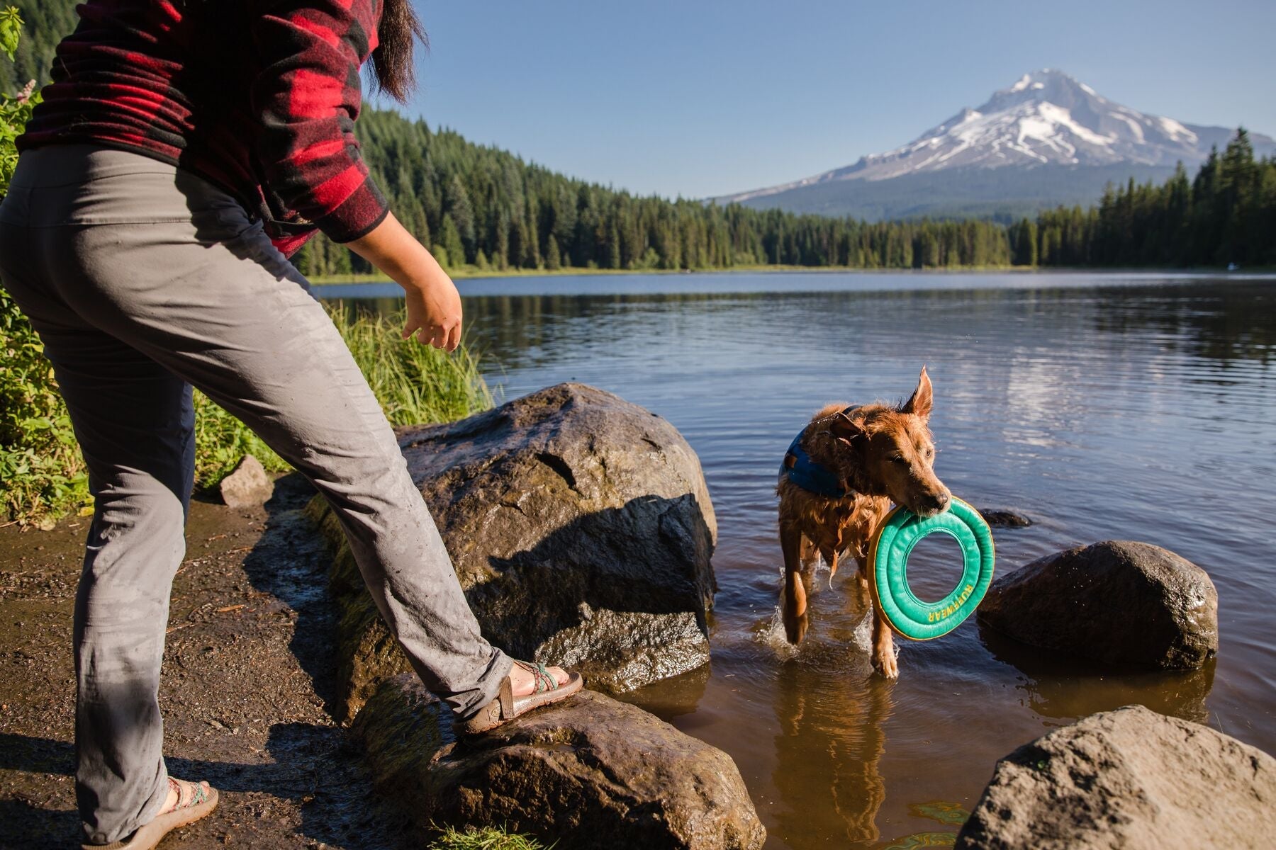Ruffwear Hydro Plane™ Floating Dog Disc Toy - Tangelo Orange, Waterproof & Durable for Pool, Beach & Outdoor Play - Perfect for Fetch Games with Dogs