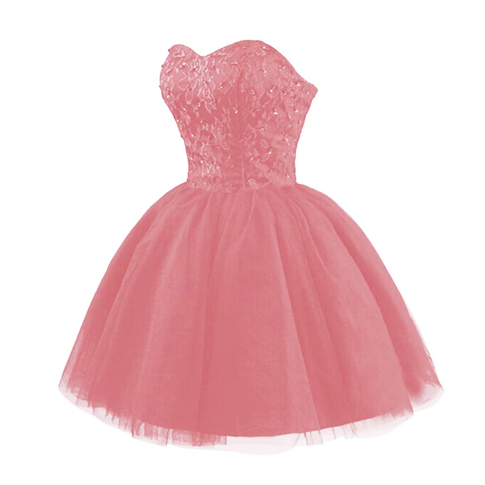 Strapless Prom Dresses 2024 | Short Lace Tulle A-Line Quinceanera & Homecoming Dresses for Juniors | Perfect for Cocktail Parties, Dances & Special Occasions