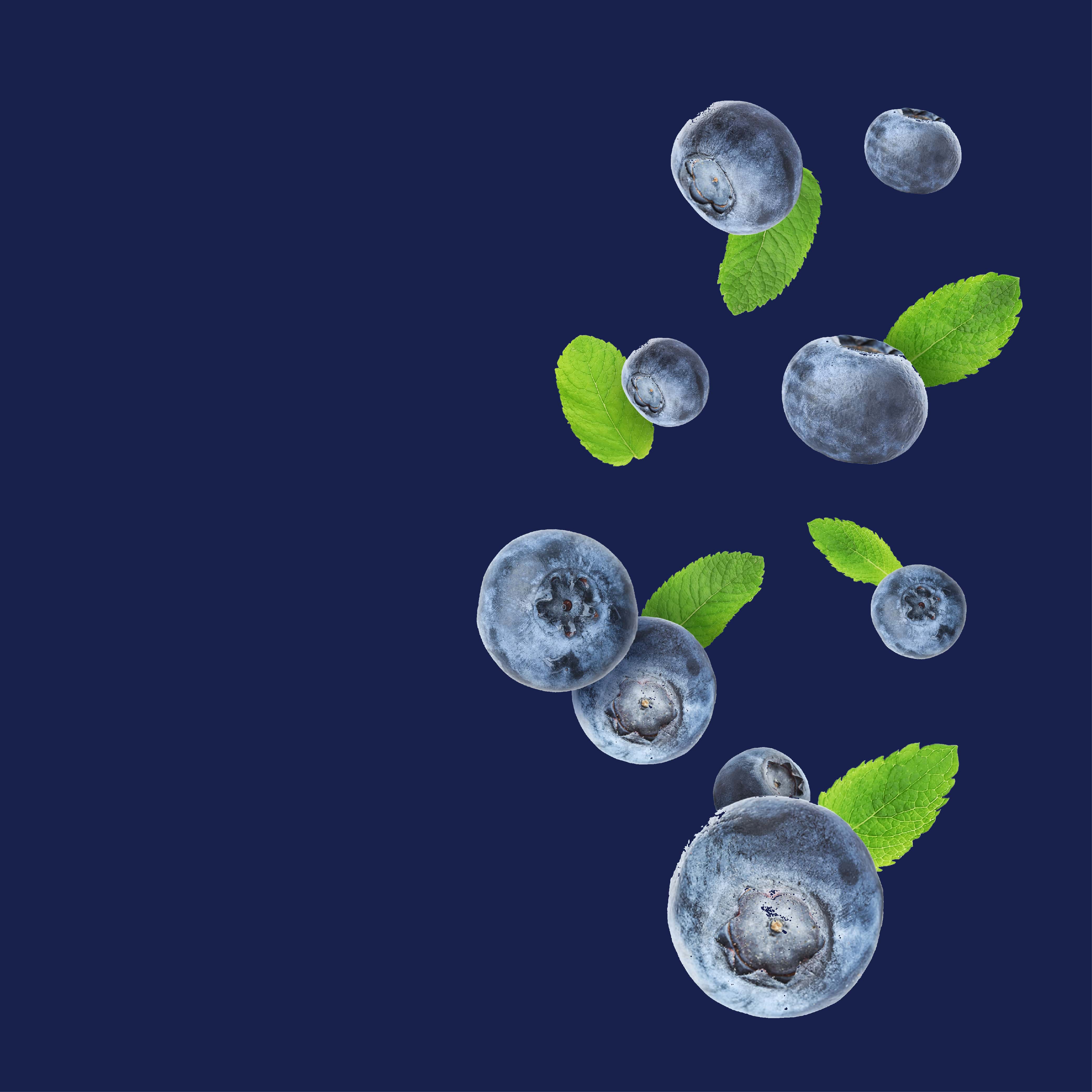 NO. 13 Blueberry Cobbler Fragrance Oil for Cold Air Diffusers - Perfect for Home, Office & Spa Aromatherapy Relaxation