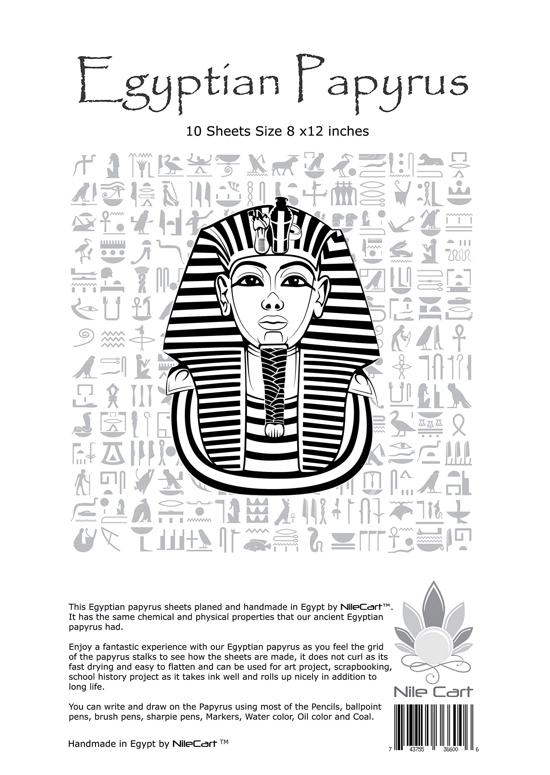Authentic Egyptian Papyrus Blank Sheets 8x12 Inches - Includes Hieroglyphic Alphabet Stencil Ruler & Bookmarks (10 Sheets) for Art Projects, Calligraphy & Ancient History Education | Perfect for DIY Crafts, Classroom Activities & Unique Gifts