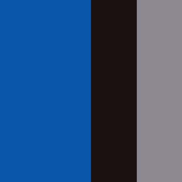 Bleu Skydiver
