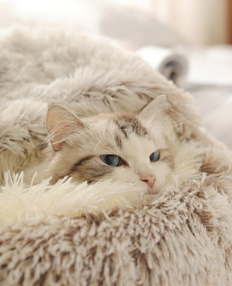 Lapcatz Nest Bed - Cozy Cat & Dog Bed with Removable Cover, 40cm Plush Velvet Pet Cave for Indoor Cats & Small Dogs - Perfect for Winter Warmth & Comfort in Living Room or Bedroom