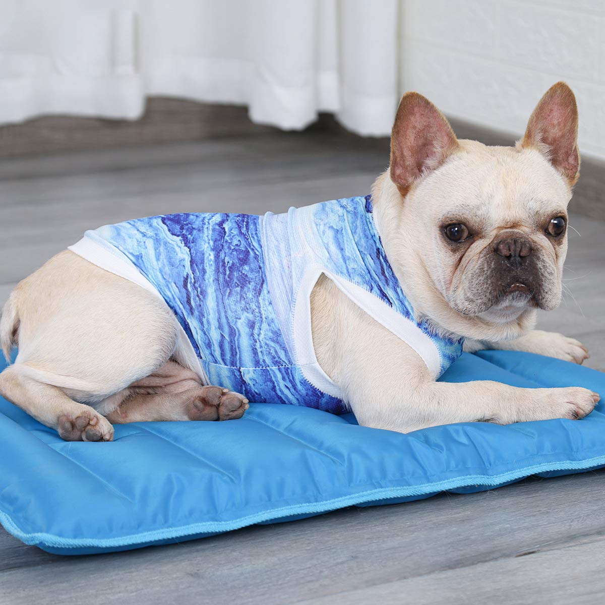Dog Cooling Vest for Summer - Instant Cooling Pet Shirt & Harness for Small Dogs & Puppies (Medium) - Perfect for Outdoor Walks, Hiking & Hot Weather