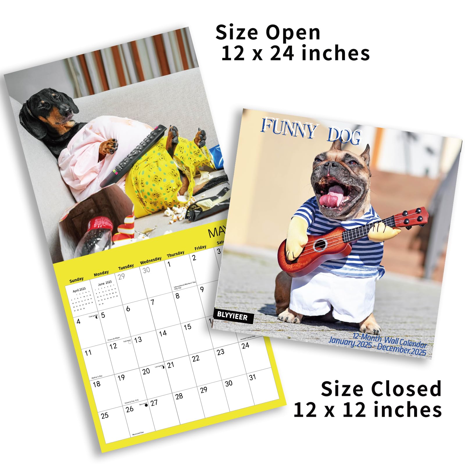 2025 Funny Dogs Wall Calendar - 12