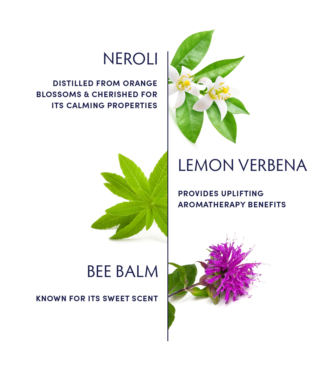 Naturopathica Chill Alchemy Essential Oil Blend - Stress Relief & Relaxation Aromatherapy for Home, Office & Spa Use