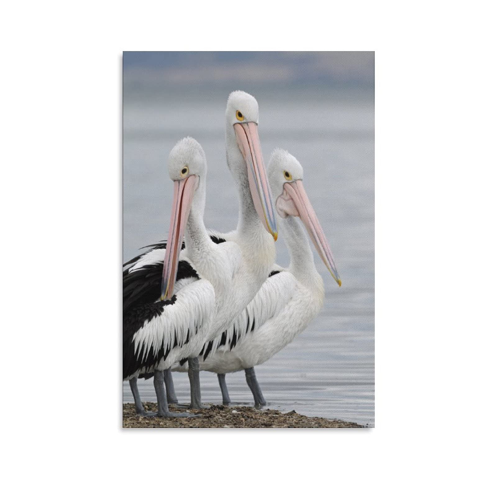 Great White Pelican & Toucan Canvas Wall Art - Premium Bird Painting Poster for Living Room, Bedroom & Office Decor - Perfect Gift for Nature Lovers & Home Decoration