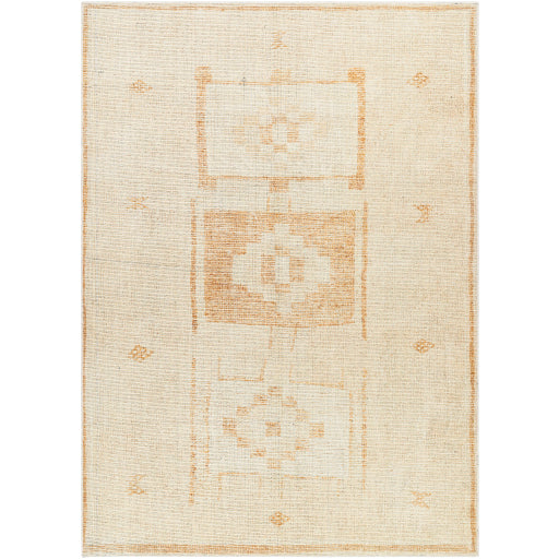 Solana BOOC 2300 Rug - Soft Modern Area Rug for Living Room, Bedroom, Office - Non-Slip, Washable, Pet Friendly - Perfect for Home Decor and Cozy Spaces