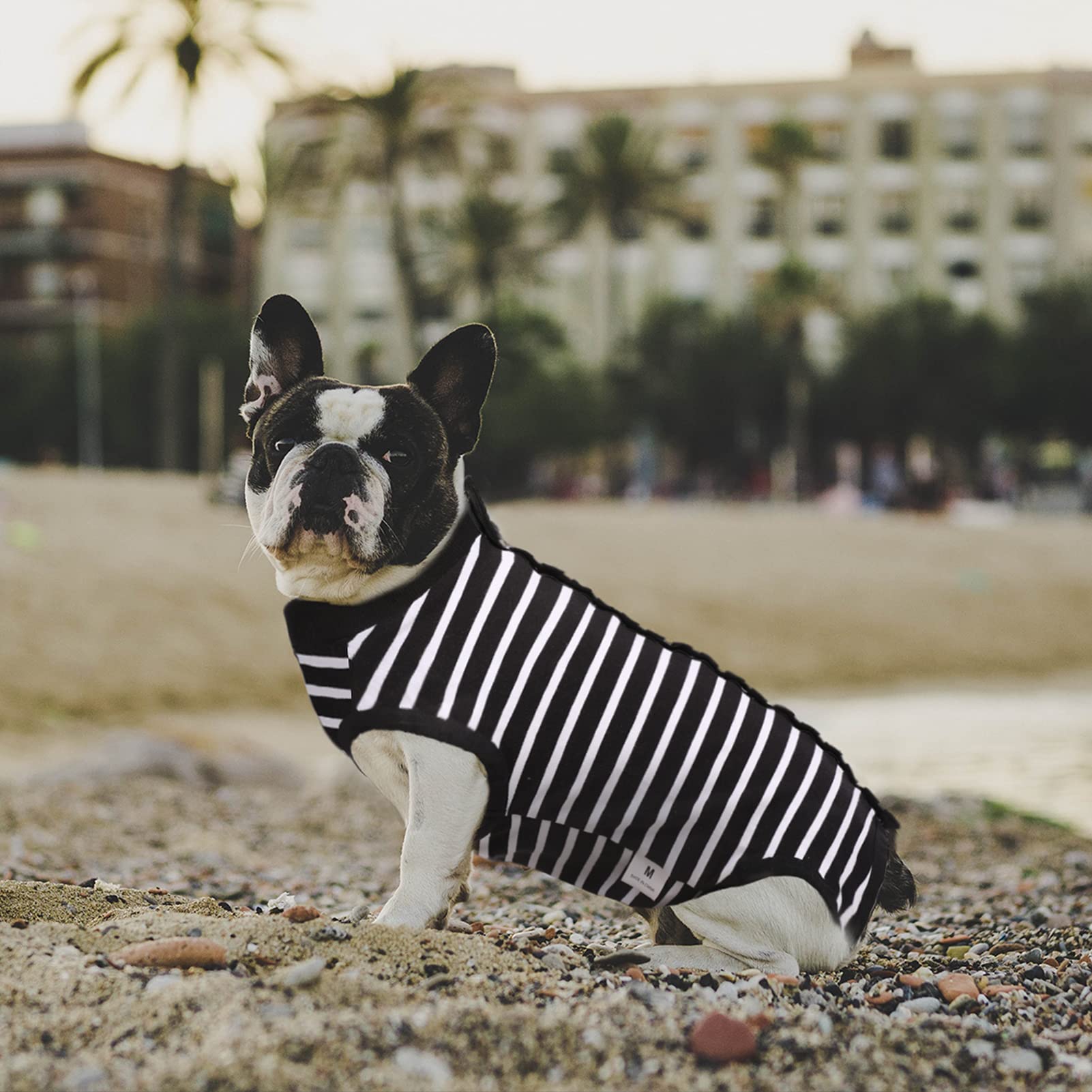 SAWMONG Dog Recovery Suit for Post-Surgery Care - Soft Surgical Suit for Female & Male Dogs - Alternative to E-Collar Cone - Black, X-Small - Perfect for Wound Protection & Comfort After Spay/Neuter Surgery