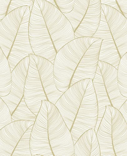 Gold & White
