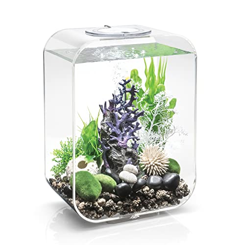 Transparent with LED Lighting