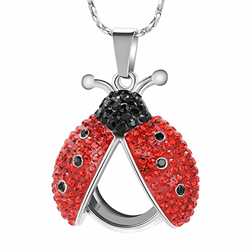 Ladybug-2