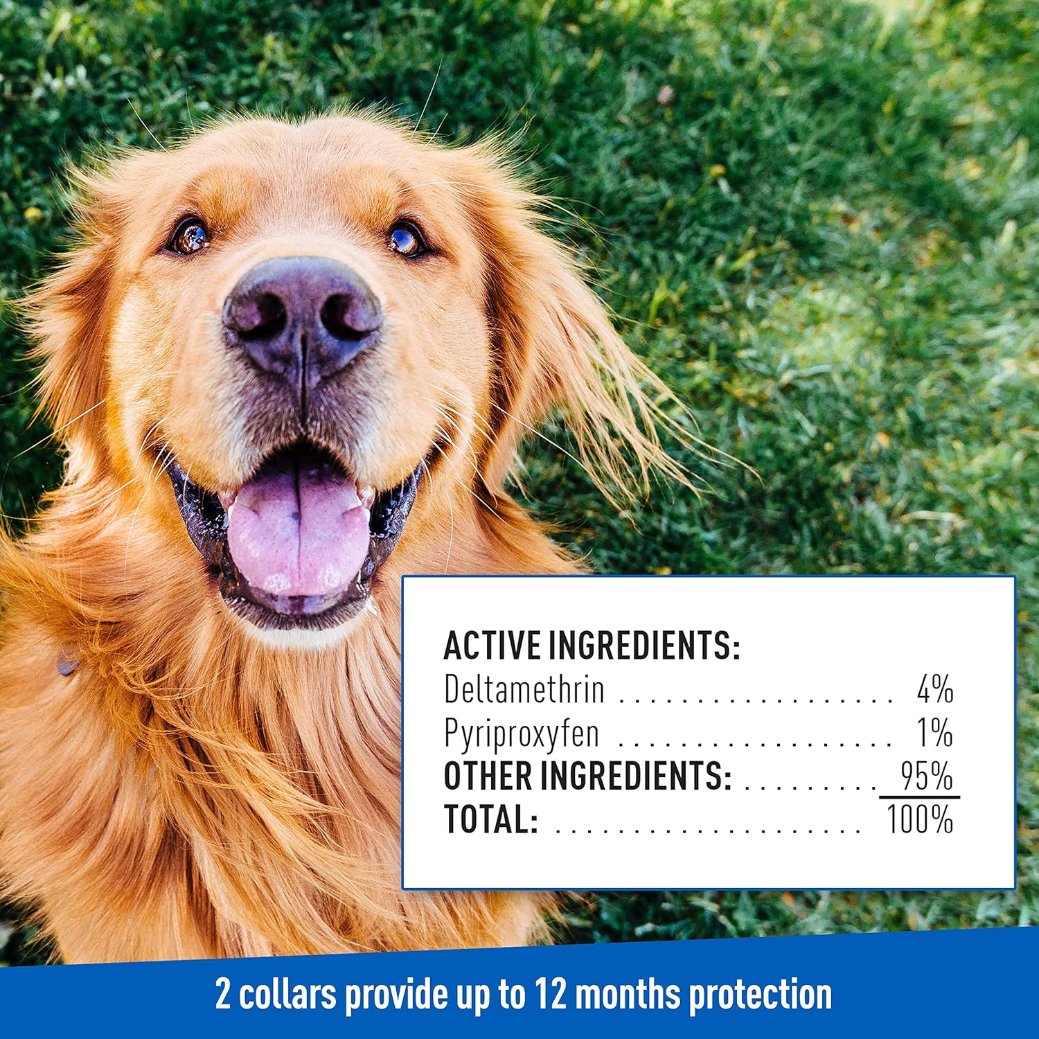 Adams Premium Flea & Tick Collar for Dogs - 2 Pack in Gold Tin | Long-Lasting Protection Against Fleas & Ticks | Perfect for Outdoor Adventures & Daily Walks