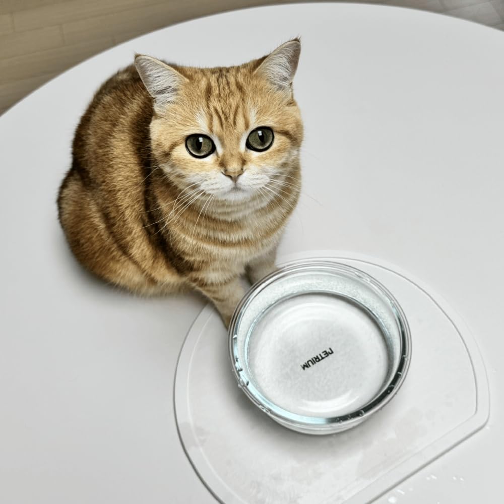 Premium Absorbent Stone Dry Mat for Pets - Quick Drying Non-Slip Pet Feeding Mat for Food & Water Bowls | Natural Diatomaceous Earth Dog Cat Accessories | Perfect for Messy Drinkers & Water Fountain Areas