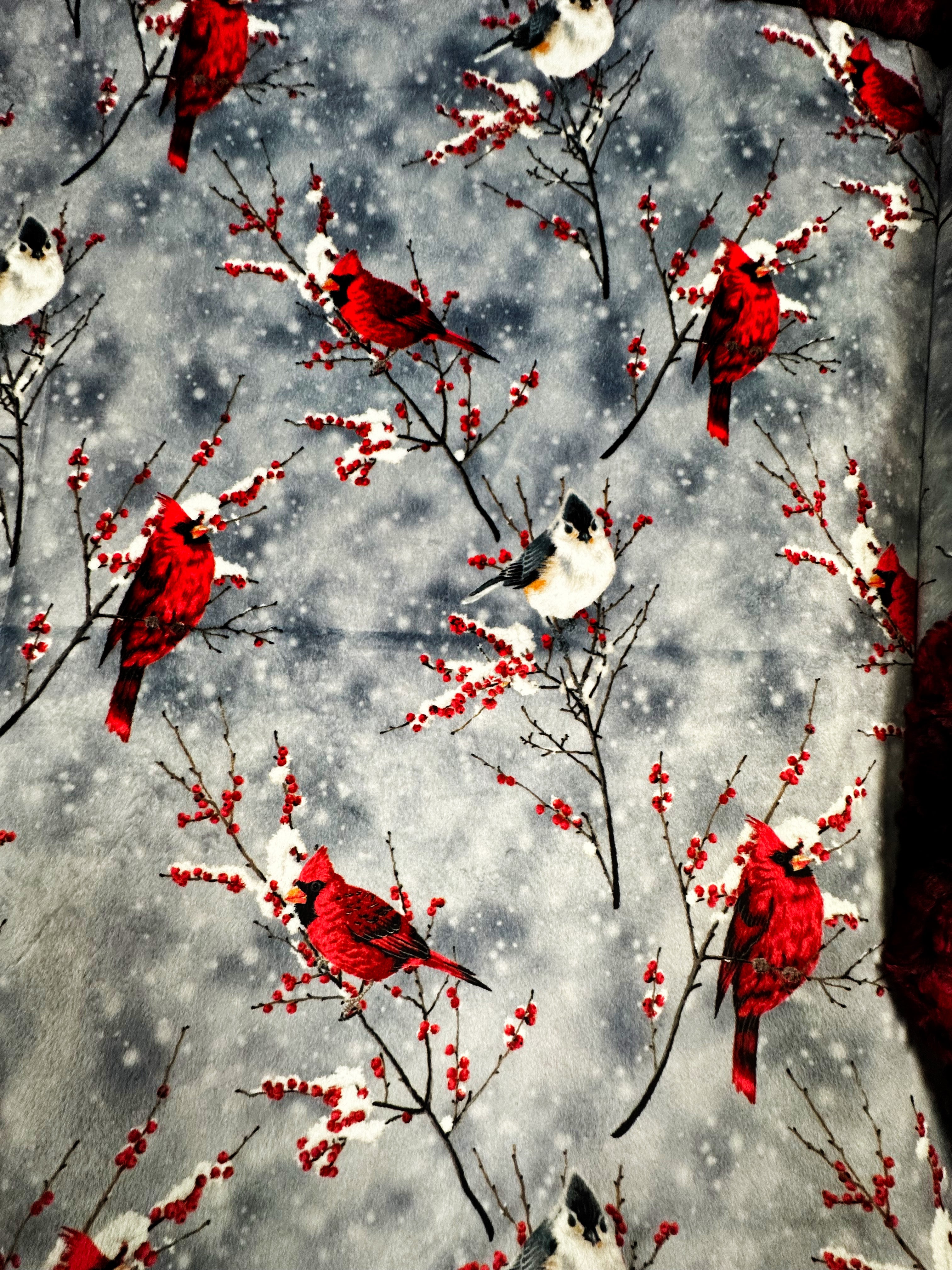 Cardinal Sparrow on Paloma Rocket - Soft Adult Large Blanket 55x75 Inches - Cozy Throw for Bed, Couch & Outdoor Picnics