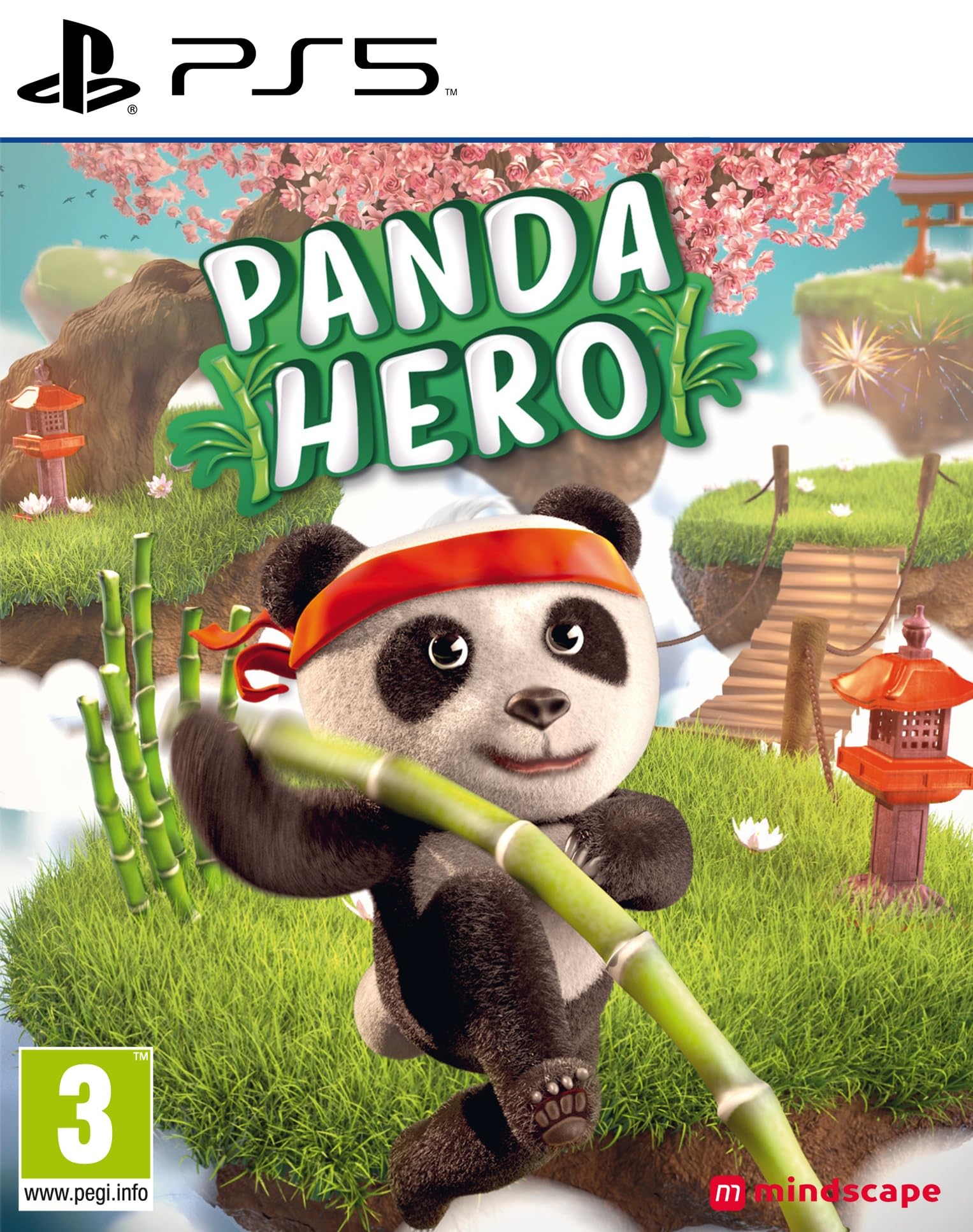 Pand Hero: Remastered - PlayStation 5 Game | Action-Adventure RPG for PS5 | Perfect for Solo Gaming & Next-Gen Console Experience