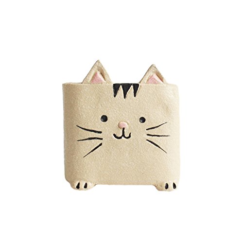 Cat 1