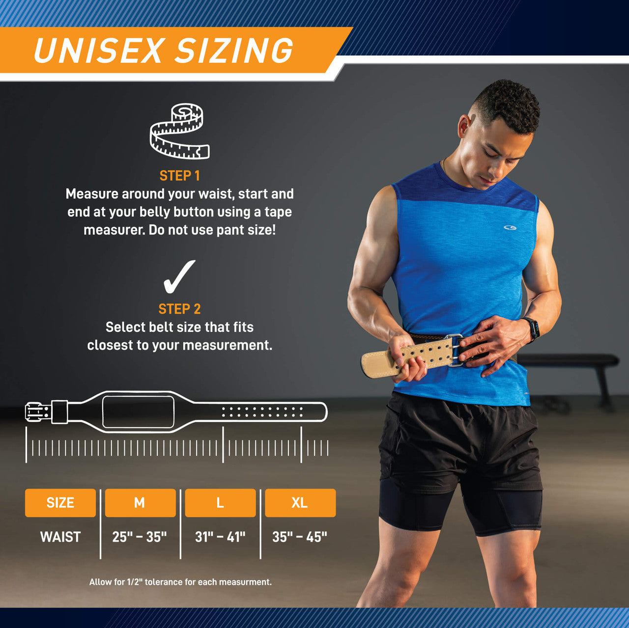 Apex 6 Padded Leather Weightlifting Belt for Men & Women - Premium Gym Belt for Powerlifting, CrossFit, Deadlifts & Squats - B5LB6 | Ideal for Home & Commercial Gym Workouts