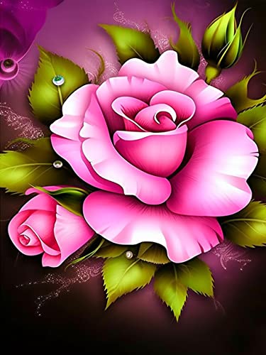 Clear,Pink