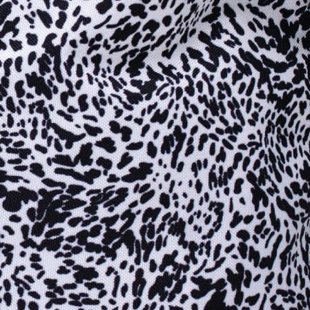 Wild Cat
