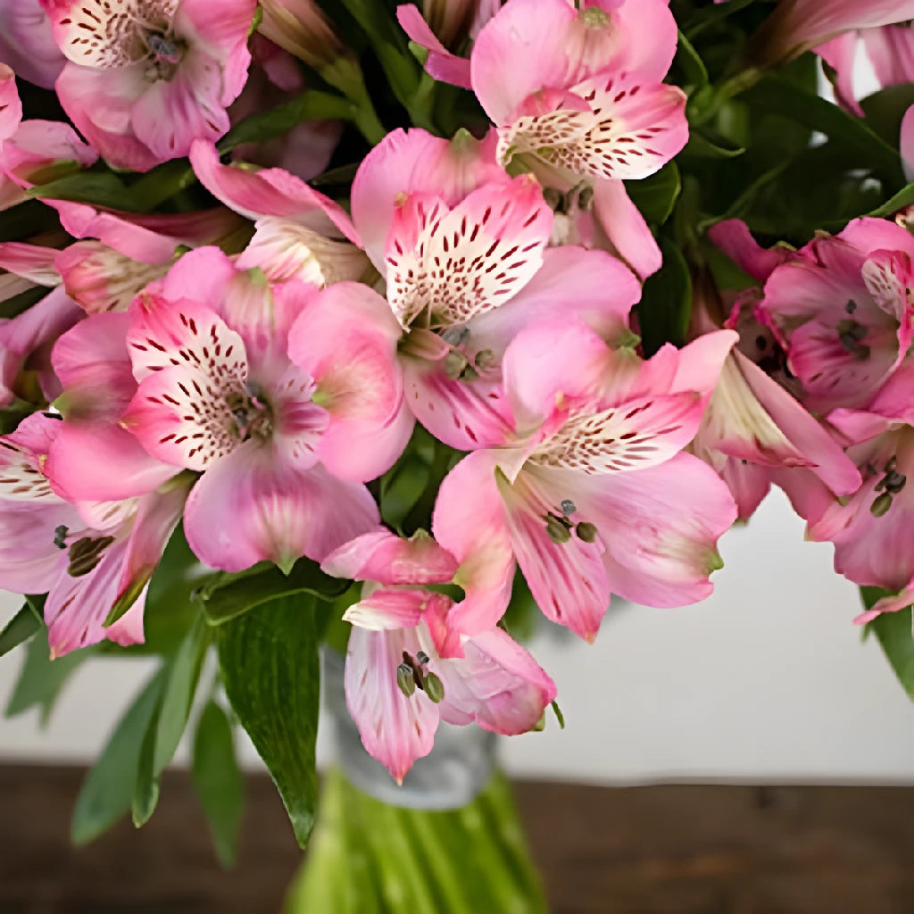 Alstroemeria Spiral Valentine's Day Flower Bouquet - Fresh Cut Peruvian Lily Arrangement for Romantic Gifts, Anniversaries & Weddings