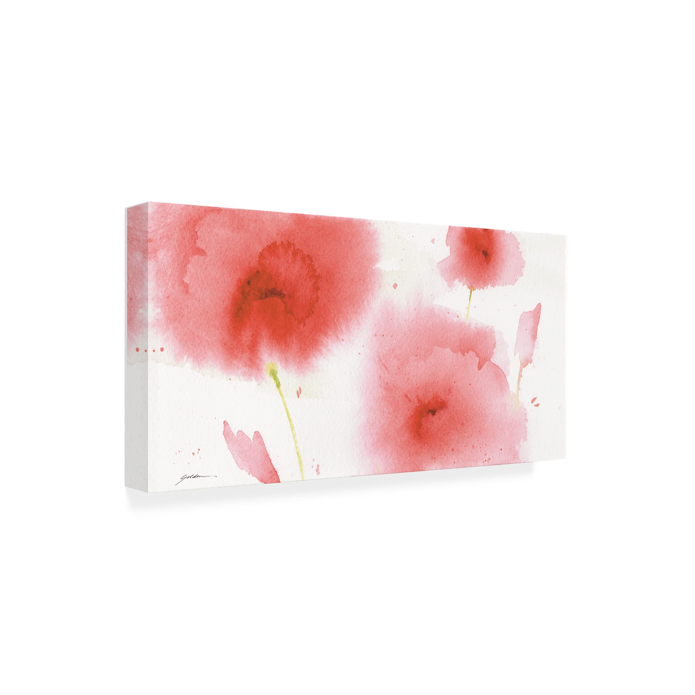 Trademark Fine Art 'Coral Passion' Canvas Wall Art by Sheila Golden - Vibrant Tropical Painting for Living Room, Bedroom & Office Decor