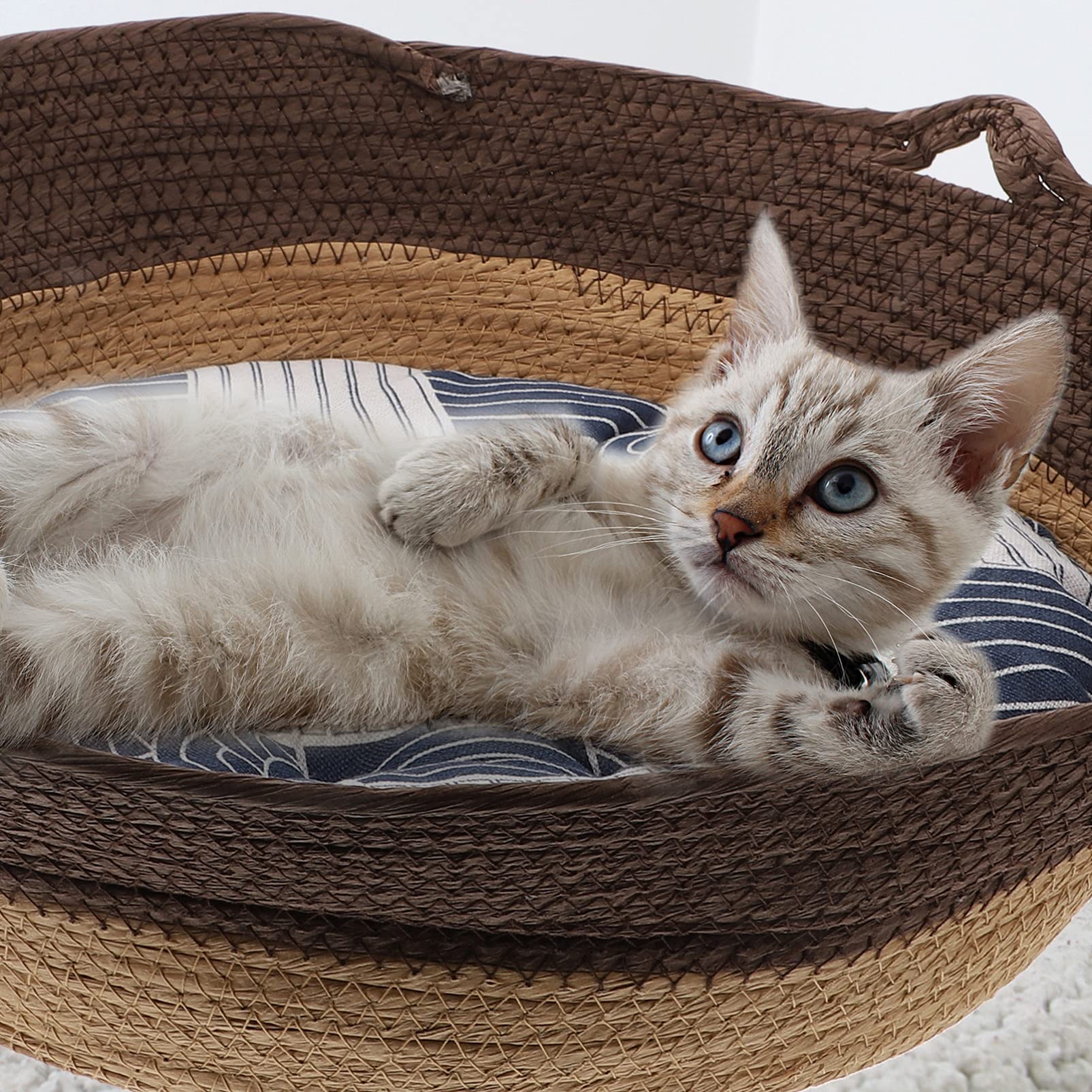 Balacoo 1PC Rattan Woven Pet Bed - Breathable Cat Nest, Rabbit Sleeping House & Dog Resting Chair - Natural Wicker Cat Bed & Knitted Dog Cage with Cattail Grass Sofa Design for Indoor/Outdoor Use - Perfect for Living Room, Bedroom or Patio