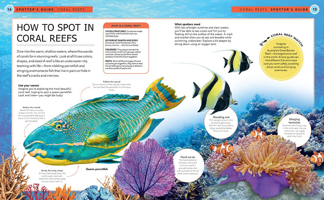 Ocean Creatures Spotter's Guide - Marine Life Identification Book for Kids & Adults - Perfect for Beach Trips, Snorkeling & Ocean Exploration
