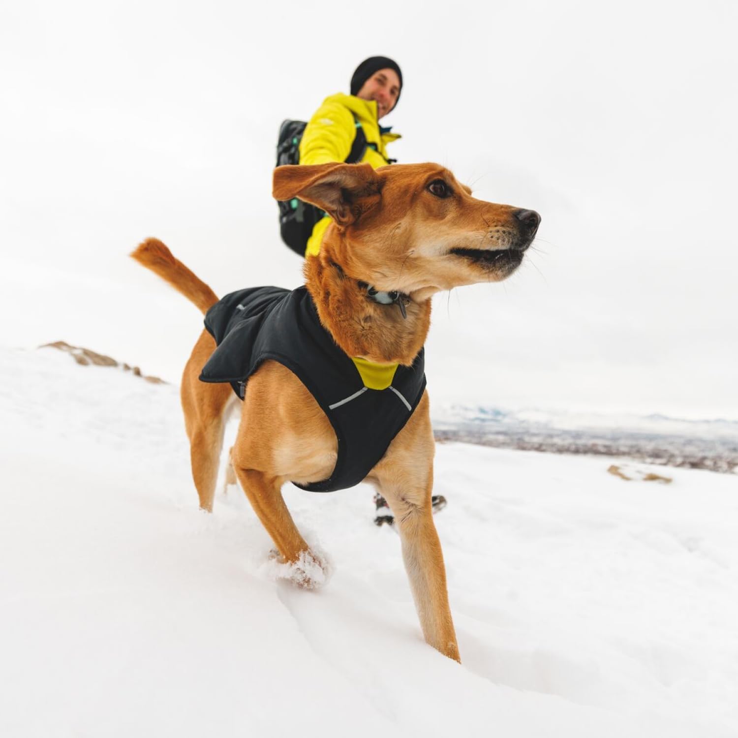 Ruffwear Quinzee Dog Jacket - Insulated & Water-Resistant Winter Coat for Medium Dogs with Stuff Sack - Pink - Perfect for Cold Weather Hiking & Outdoor Adventures