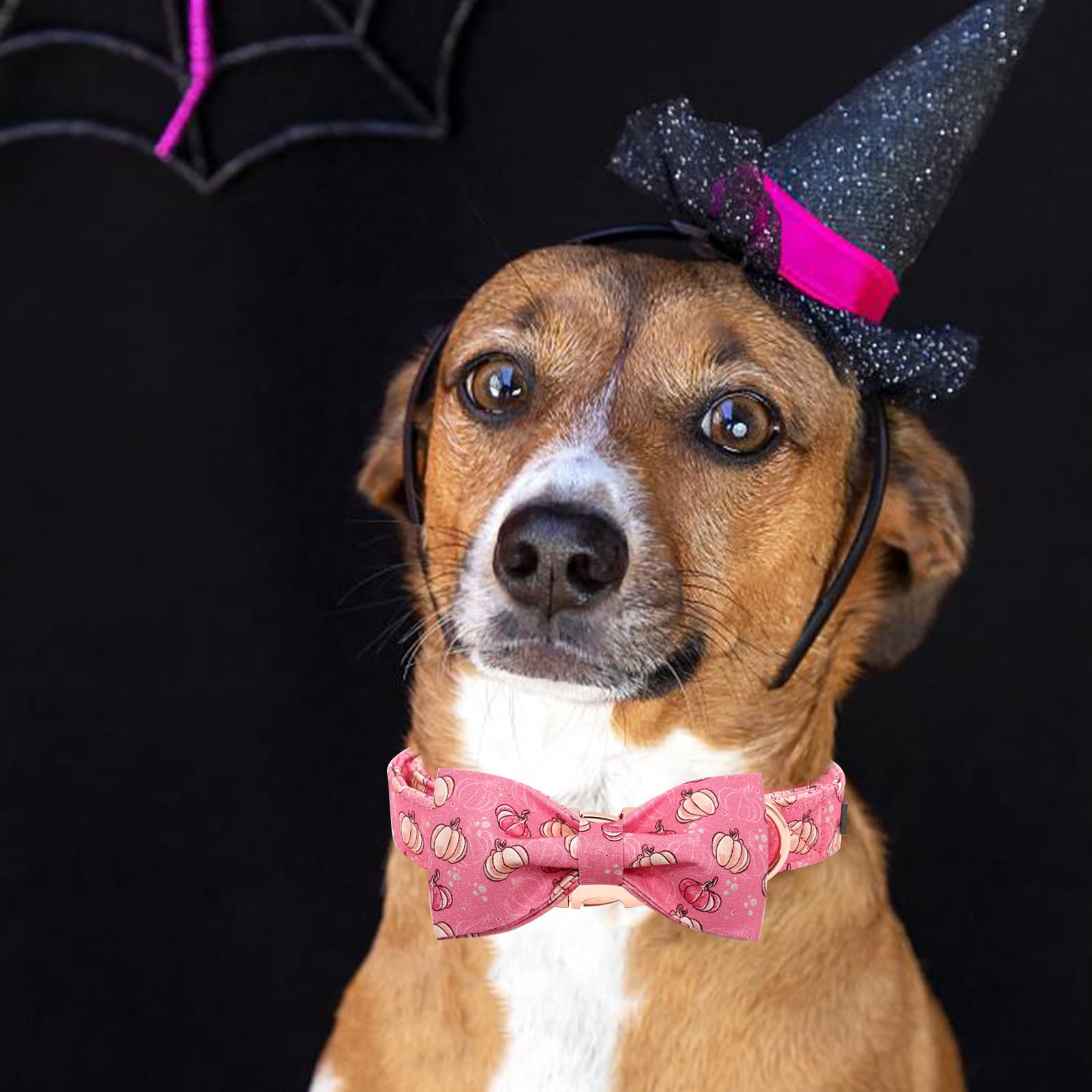 Elegant Bow Dog Collar with Adjustable Bowtie - Halloween Pumpkin Pet Collar for Small Medium Large Dogs | Perfect for Costume Parties, Pet Photos & Special Occasions