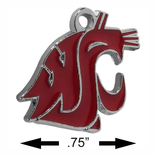 NCAA Chain Necklace with Small Charm - 20