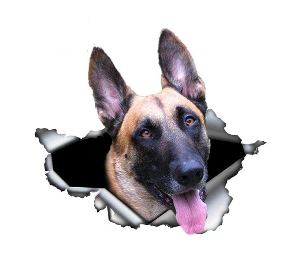 Funny Belgian Malinois Dog Car Sticker - 13Cm 3D Torn Metal Decal | Waterproof & Reflective Belgian Shepherd Pet Decal for Cars, Trucks & Windows - Perfect for Dog Lovers & Car Enthusiasts