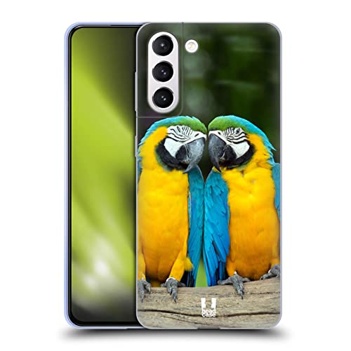 Colourful Macaw Parrot Couple